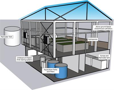 Greenhouse production of baby leaf vegetables using rainbow trout wastewater in a high-tech vertical decoupled aquaponic system